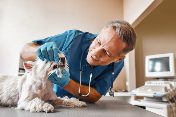 Best Broken Tooth Emergency  in Jamesburg, NJ